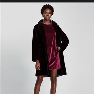 Zara Velvet dress. Burgundy.